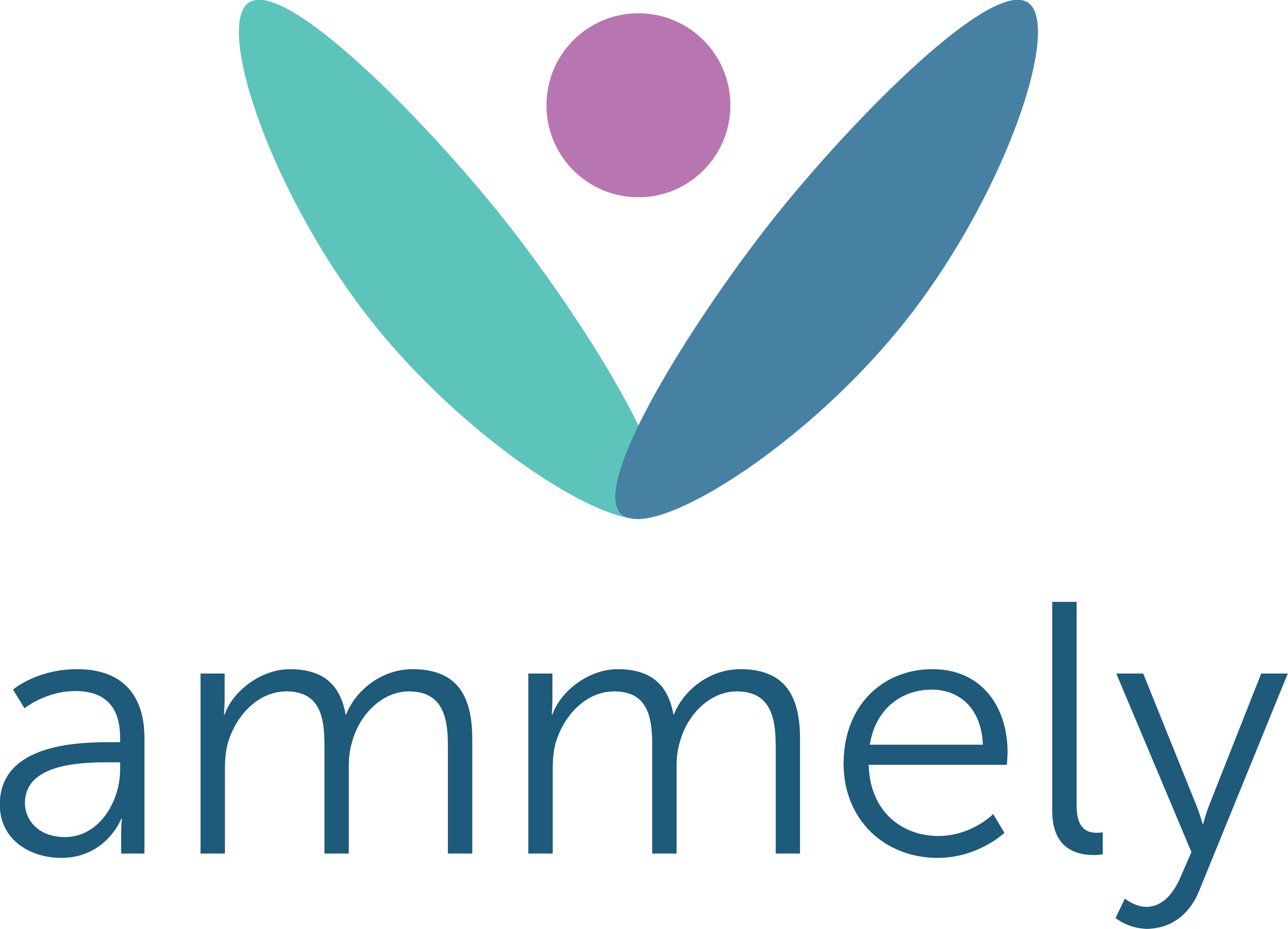 ammely Logo