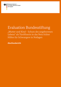 Publikationscover Abschlussbericht – Evaluation Bundesstiftung